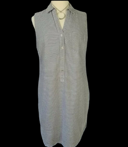 LIMITED Ashton Striped Shift Dress